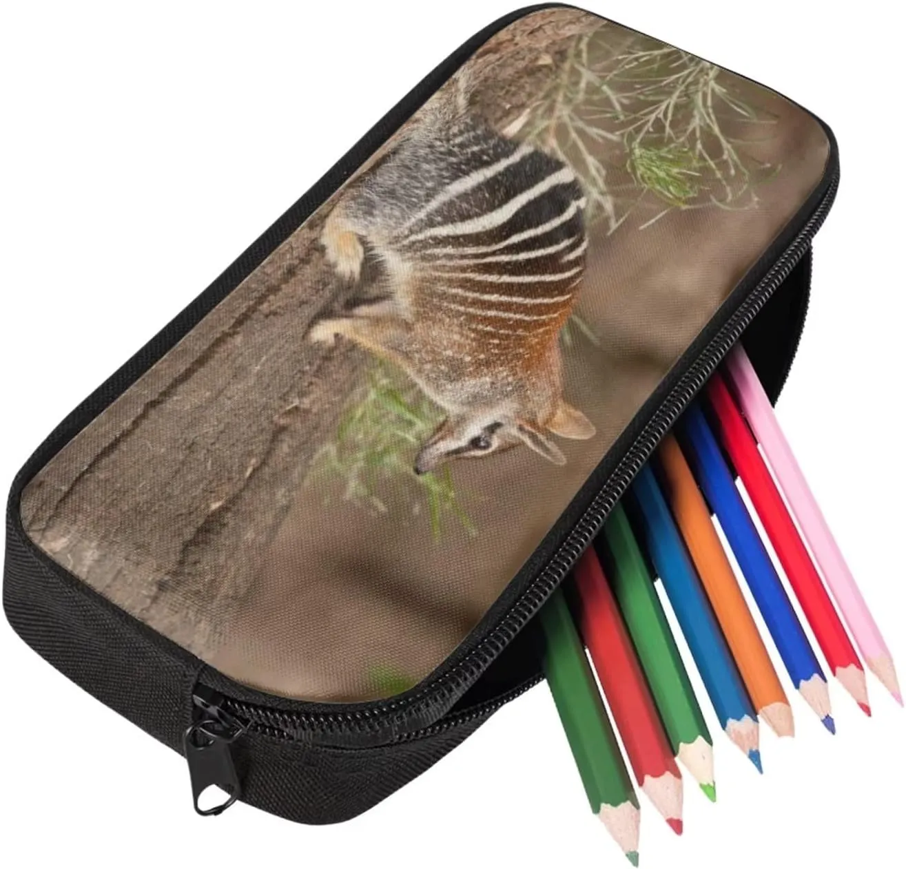 Kids Novelty Animal Backpack and Lunch Box for Boys Girls Student Lightweight 17 Inch School Anteater Backpack with Lunch Bag Pencil Case Kids Comfy Padded Black Large Bookbag