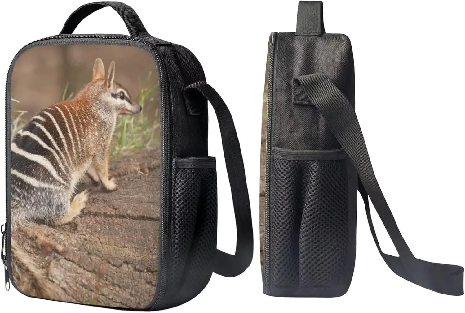 Kids Novelty Animal Backpack and Lunch Box for Boys Girls Student Lightweight 17 Inch School Anteater Backpack with Lunch Bag Pencil Case Kids Comfy Padded Black Large Bookbag